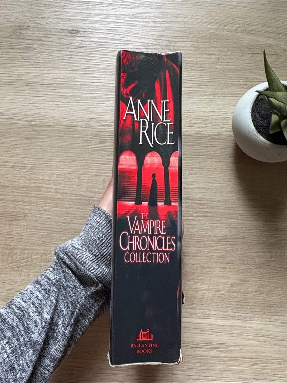 Books | The Vampire Chronicles Collection - Picture 3 of 6